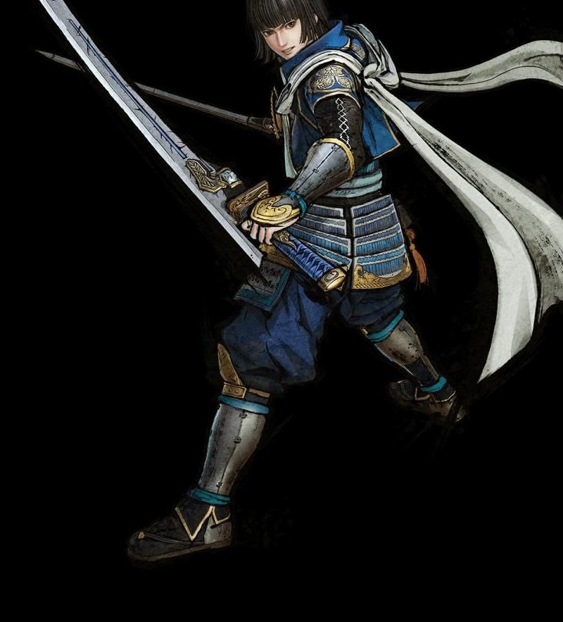 战国无双5兵种怎么升级技能