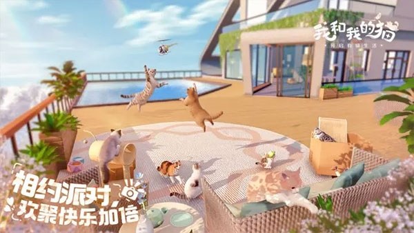 我和我的猫游戏截图3