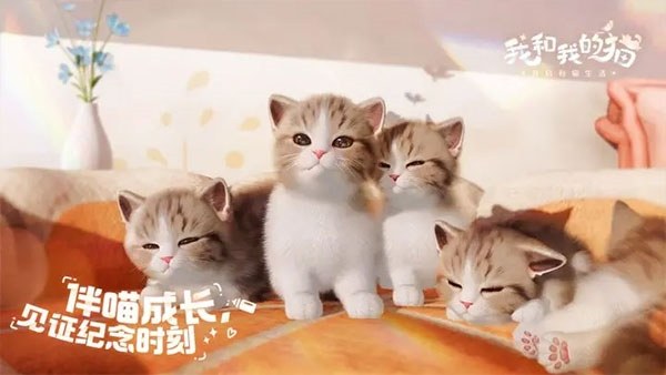 我和我的猫游戏截图5