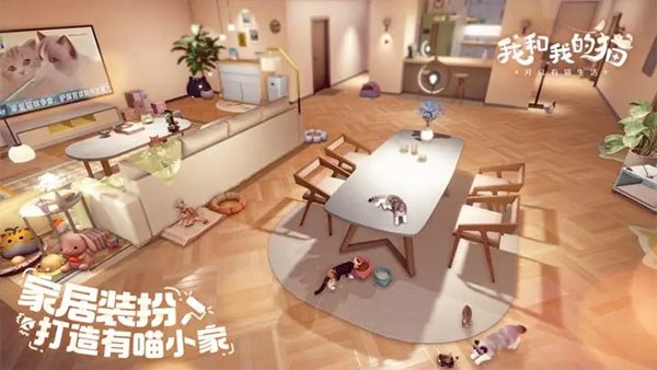 我和我的猫游戏截图2