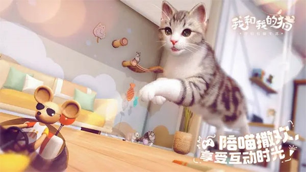 我和我的猫图片1